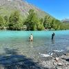 toli_99518